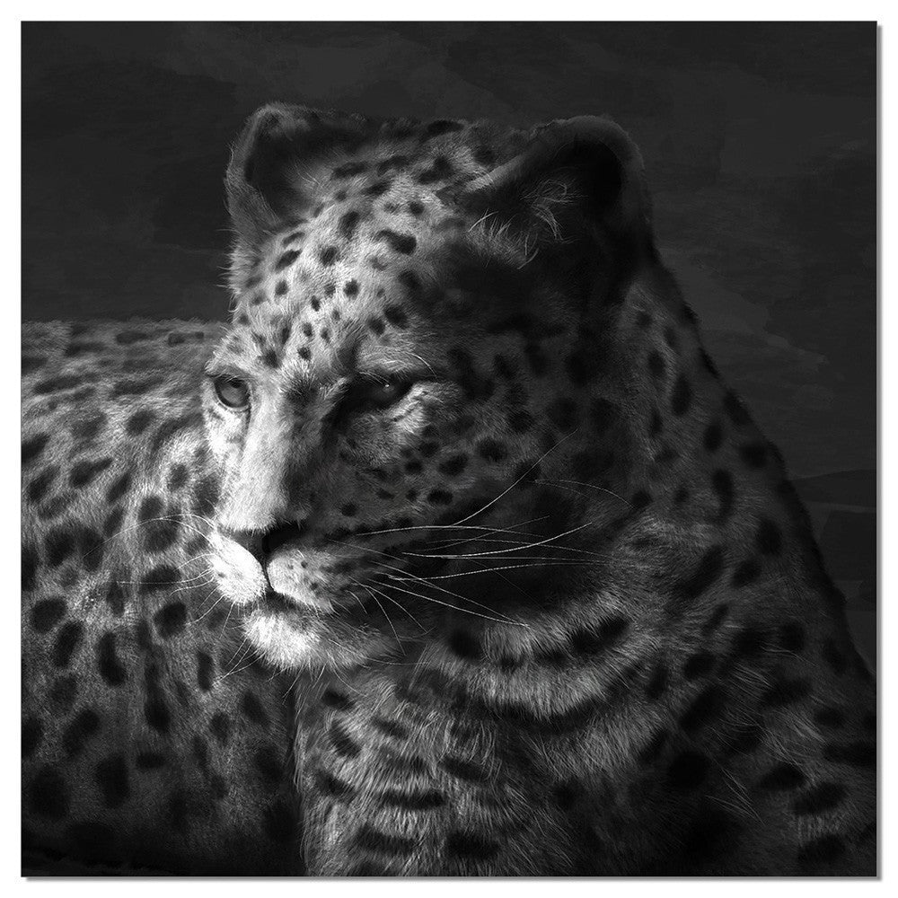 Cheetah SB-61253A - Canal Furniture
