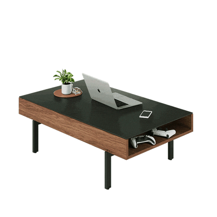 Reveal 1192 Lift Top Coffee Table | BDI Furniture - Canal Furniture