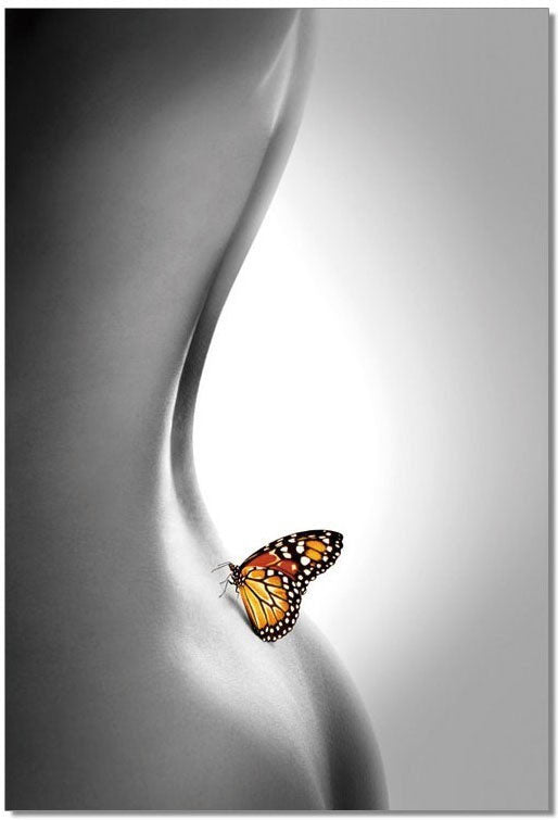 J and M Furniture Wall Art Wall Art Butterfly | SB-61336C