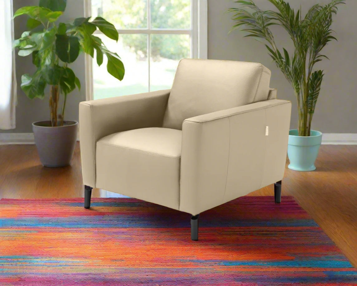 Max Divani Chair Caleb Leather Chair in Taupe | Max Divani
