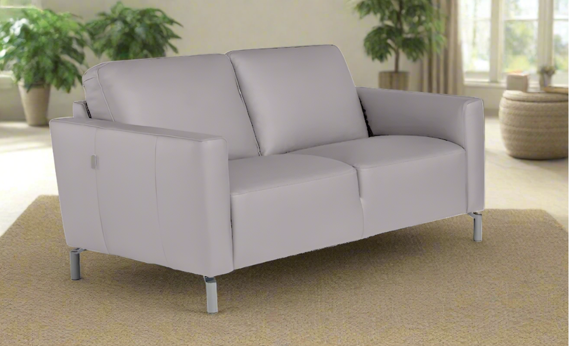 Caleb Leather Loveseat in Light Grey | Max Divani - Canal Furniture