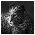 J and M Furniture Wall Art Cheetah SB-61253A