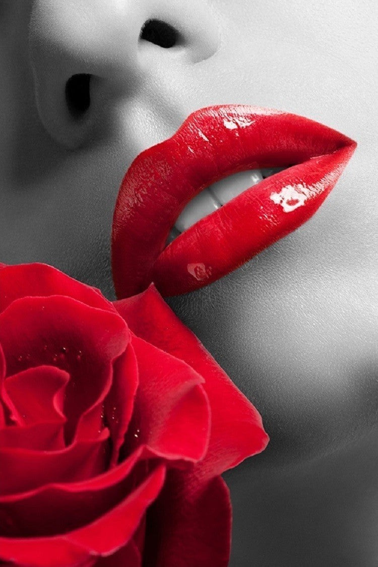 J and M Furniture Wall Art Premium Acrylic Wall Art Rose SB-61336A | J&M Furniture