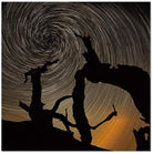 J and M Furniture Wall Art Wall Art Aurora | SH-72407