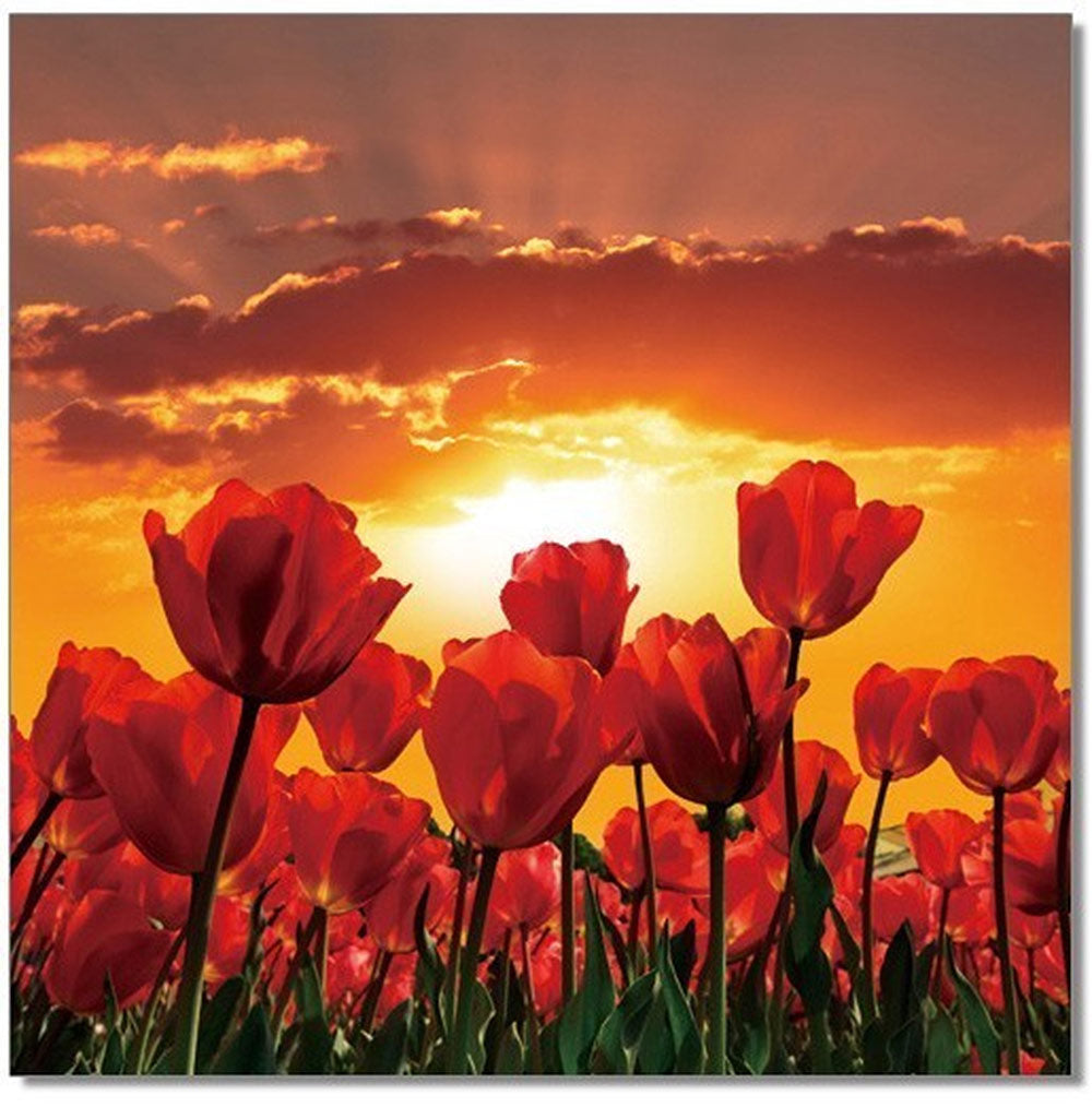 J and M Furniture Wall Art Wall Art Flowers in Bloom | SC-9778