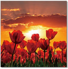 J and M Furniture Wall Art Wall Art Flowers in Bloom | SC-9778